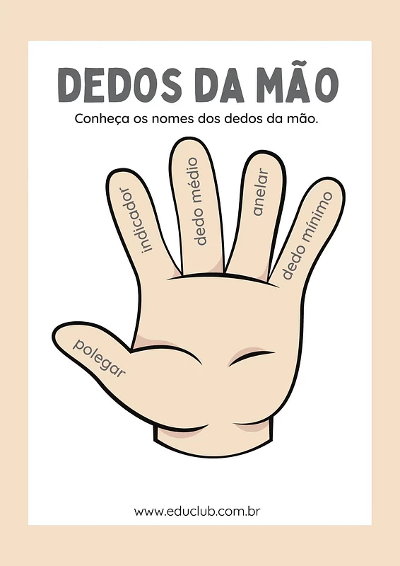 Nome dos dedos da mão completo | Educlub